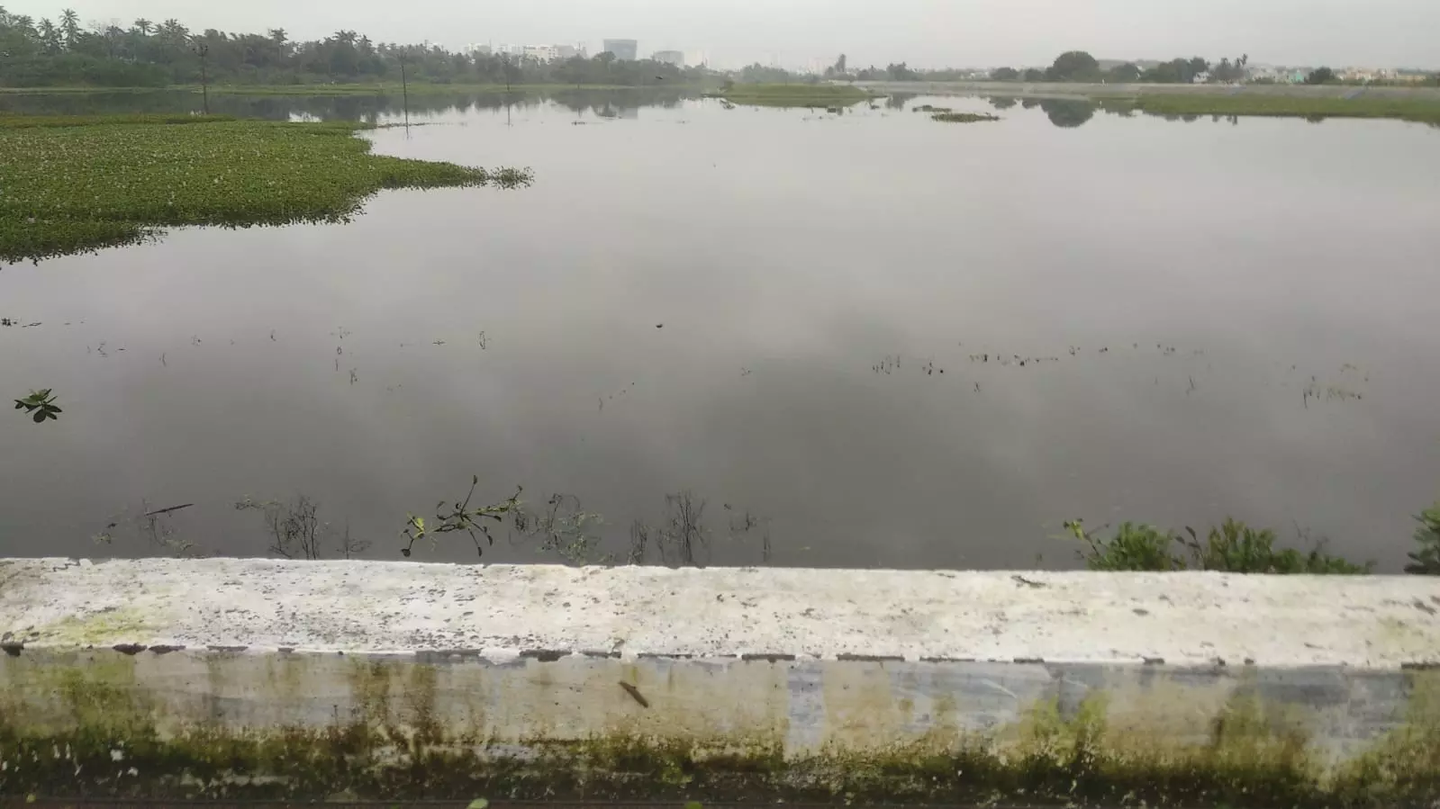 பொதுமக்கள் கோரிக்கை