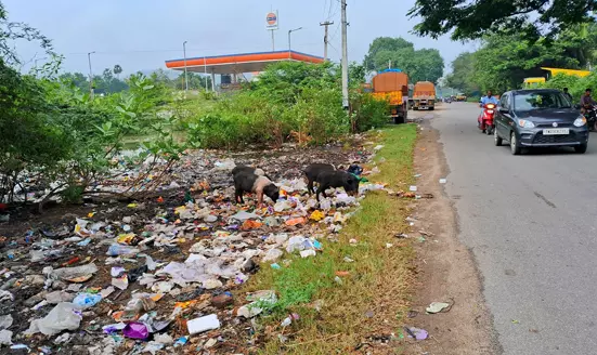 சாலையோரம் வீசப்படும் குப்பைகள் சாலையோரம் வீசப்படும் குப்பைகள்