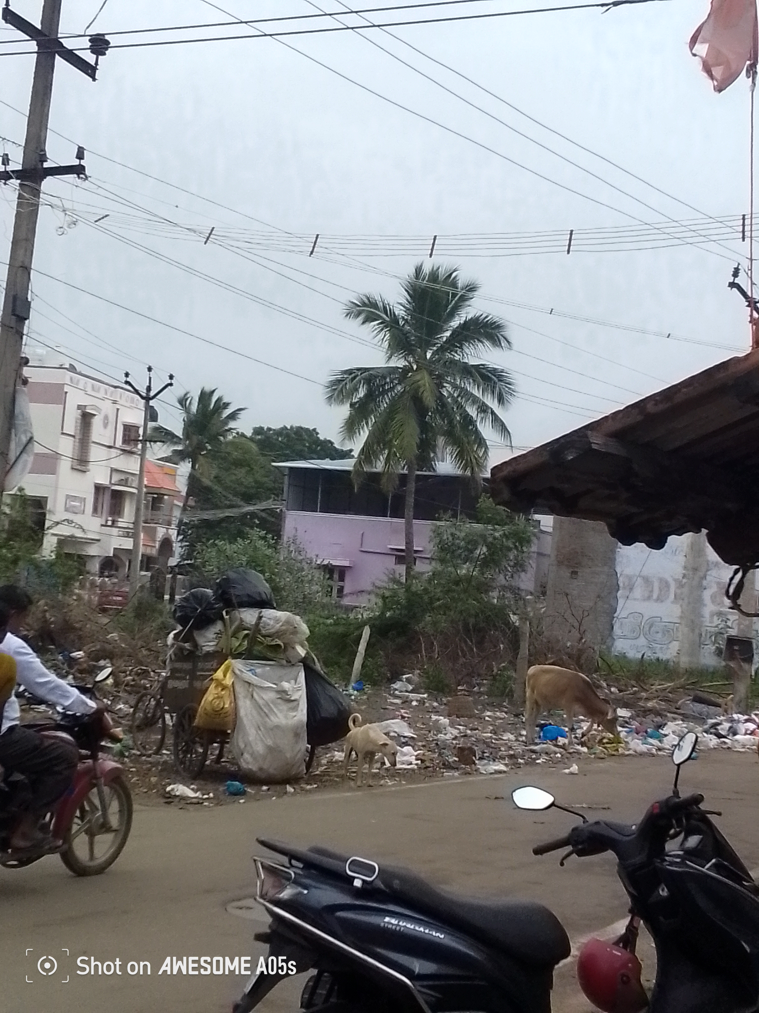 சாலையோரம் கொட்டப்படும் குப்பைகள் சாலையோரம் கொட்டப்படும் குப்பைகள்