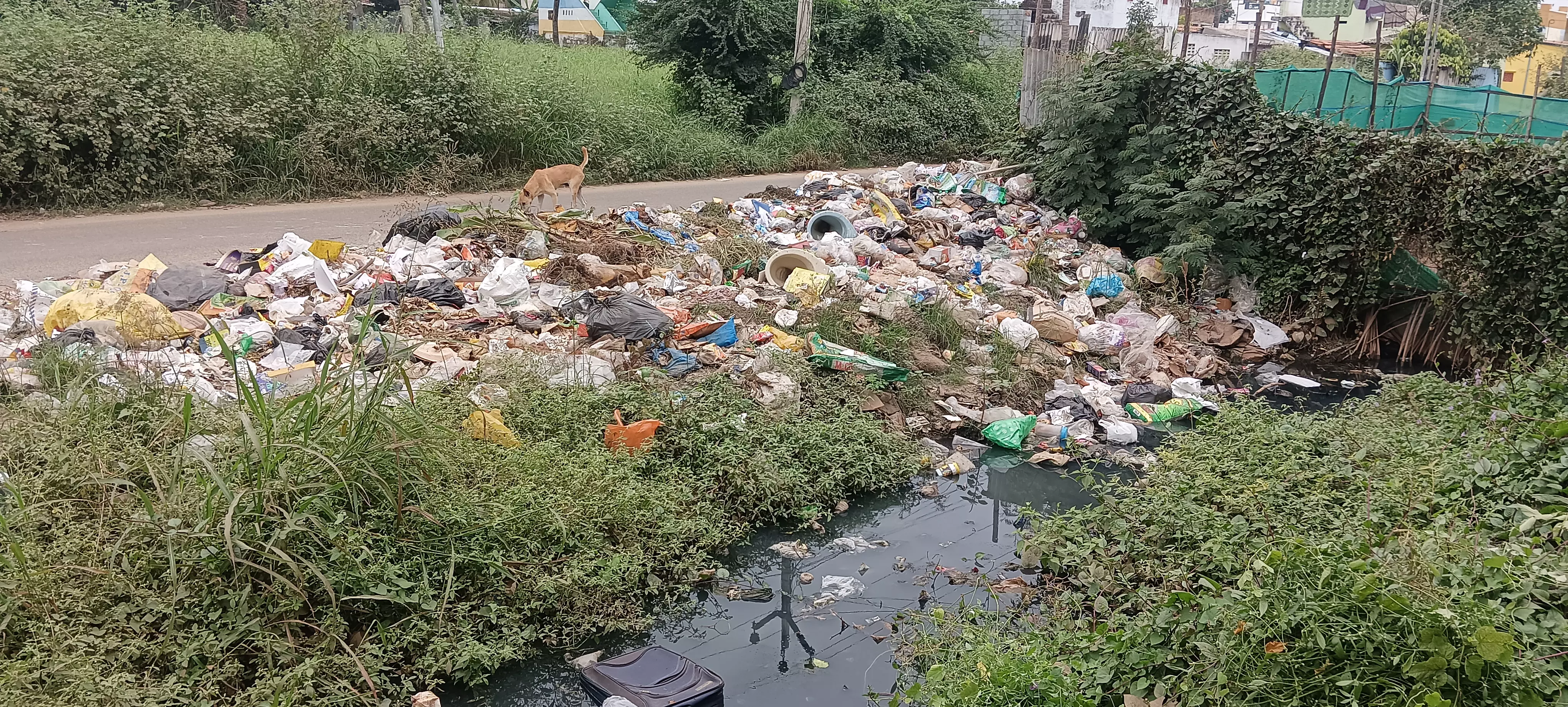 கடும் துர்நாற்றம் கடும் துர்நாற்றம்