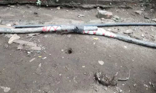 சேதமடைந்த மின்சார கேபிள் சேதமடைந்த மின்சார கேபிள்