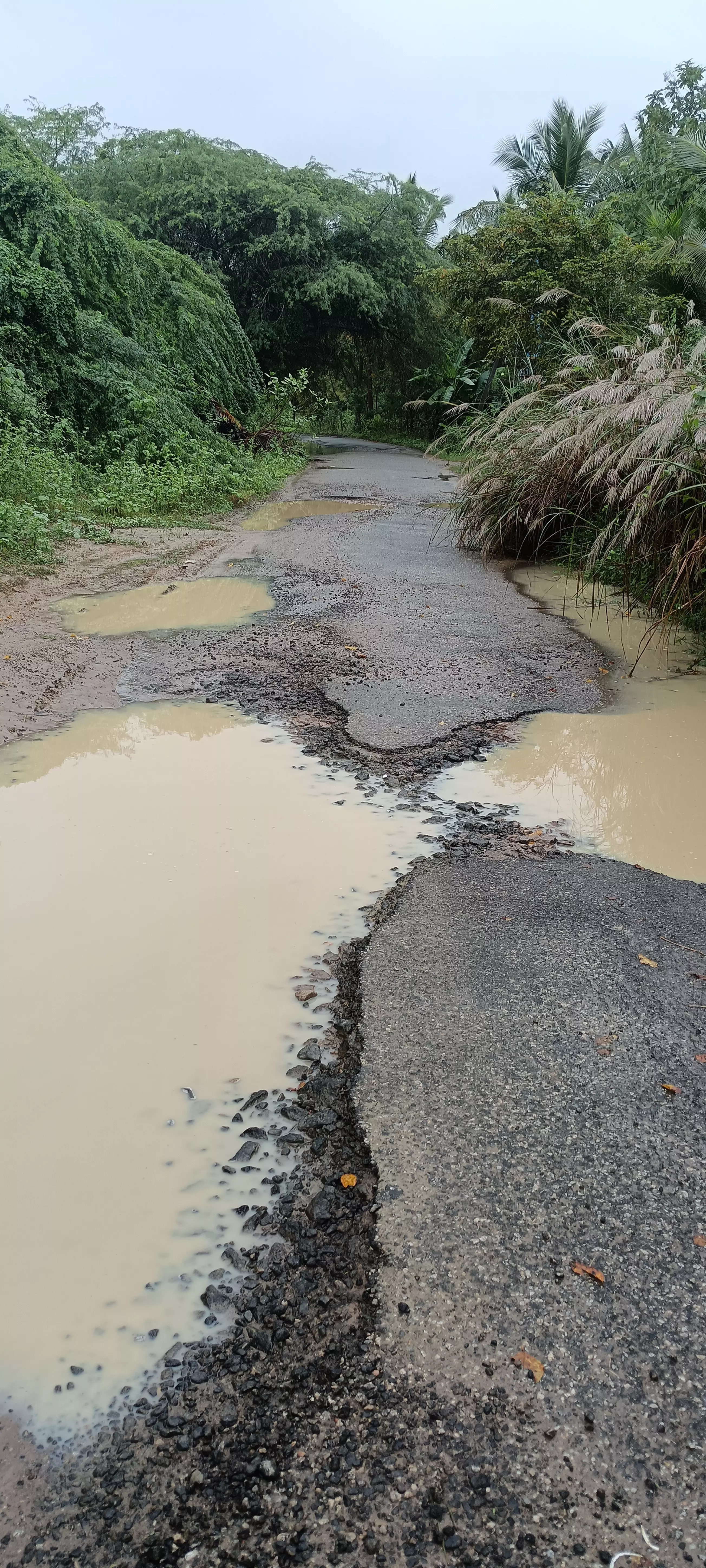 குண்டும், குழியுமான சாலை குண்டும், குழியுமான சாலை