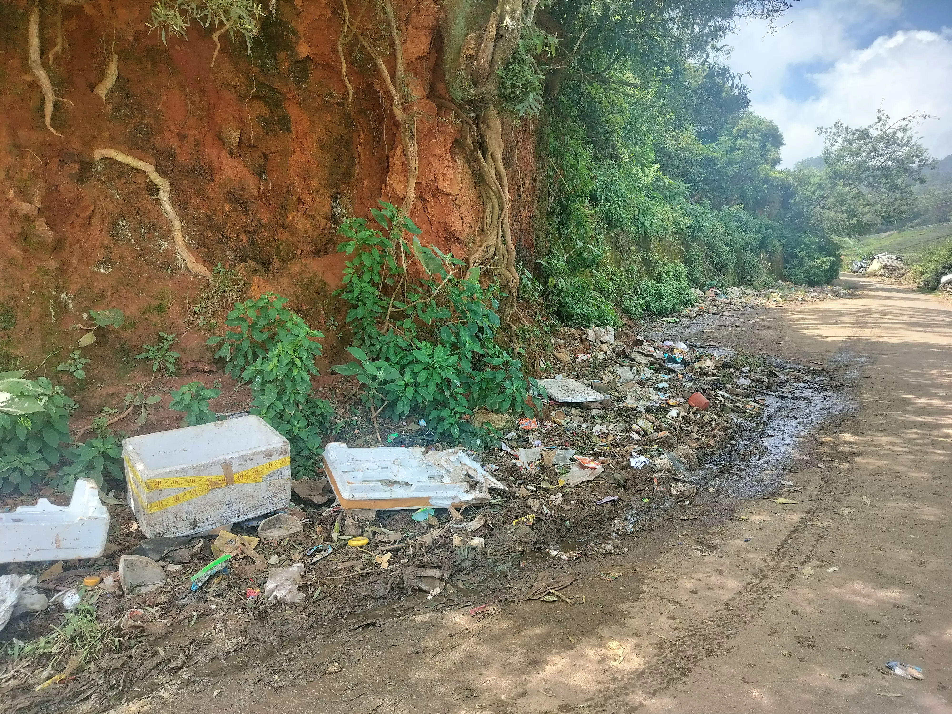 நோய் பரவும் அபாயம்