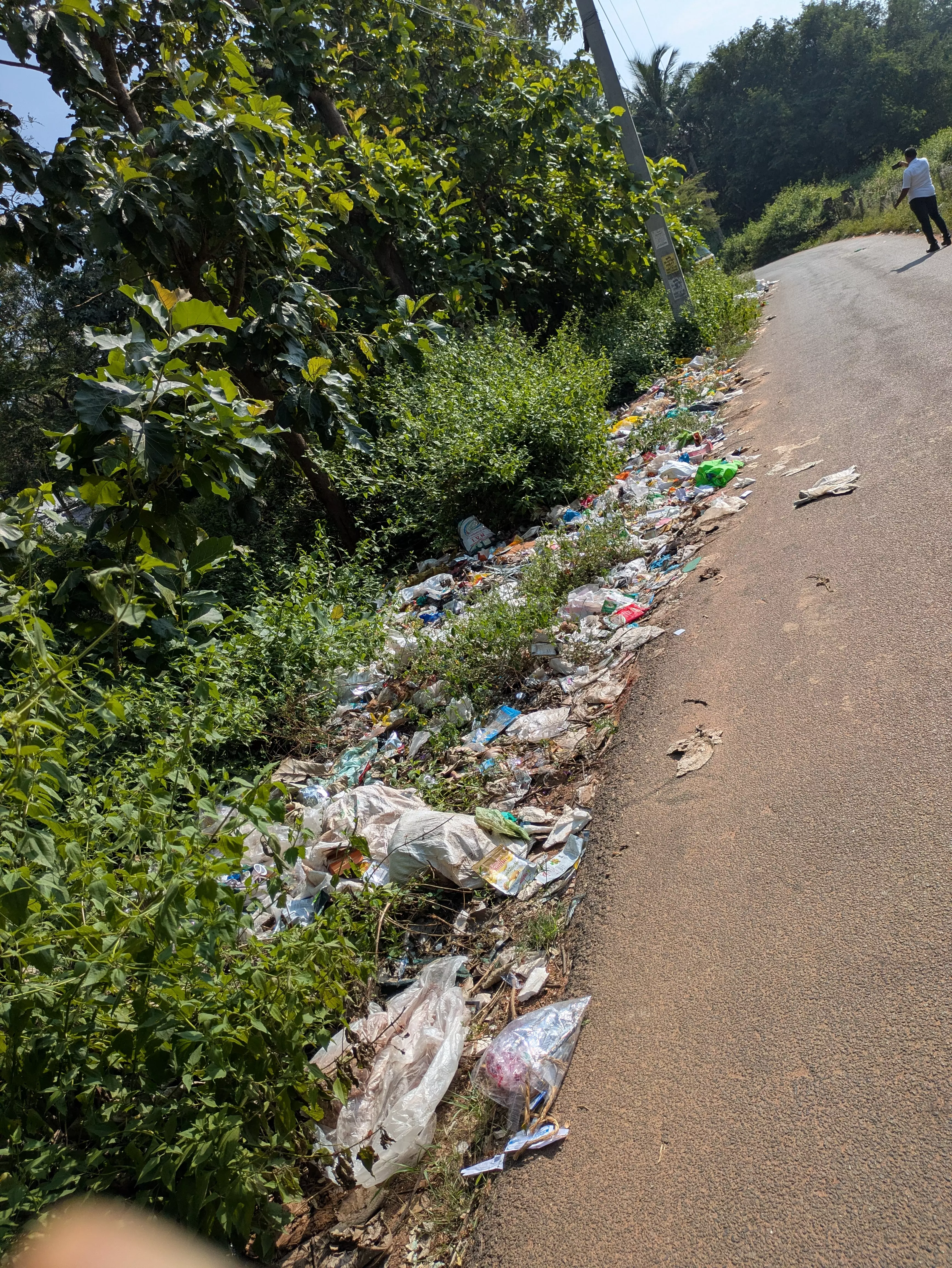 சுகாதார சீர்கேடு