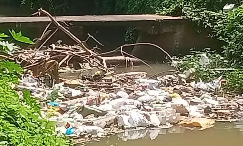 வாய்க்காலில் குவிந்து கிடக்கும் குப்பைகள்