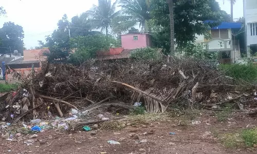 குப்பைகள் அகற்றப்படுமா?