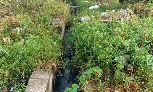 தூர்வாராத கால்வாய் தூர்வாராத கால்வாய்