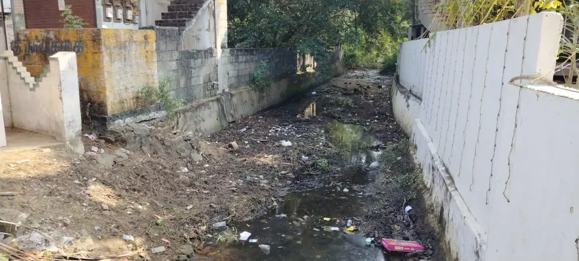 ஓடையை தூர்வார வேண்டும்