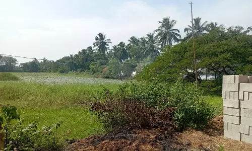 தூர்வாரப்படுமா?