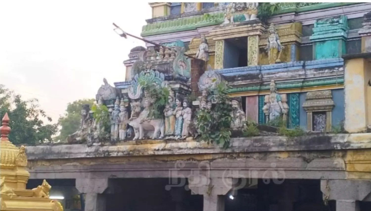 ராஜகோபுரத்தில் வளர்ந்த செடிகள்