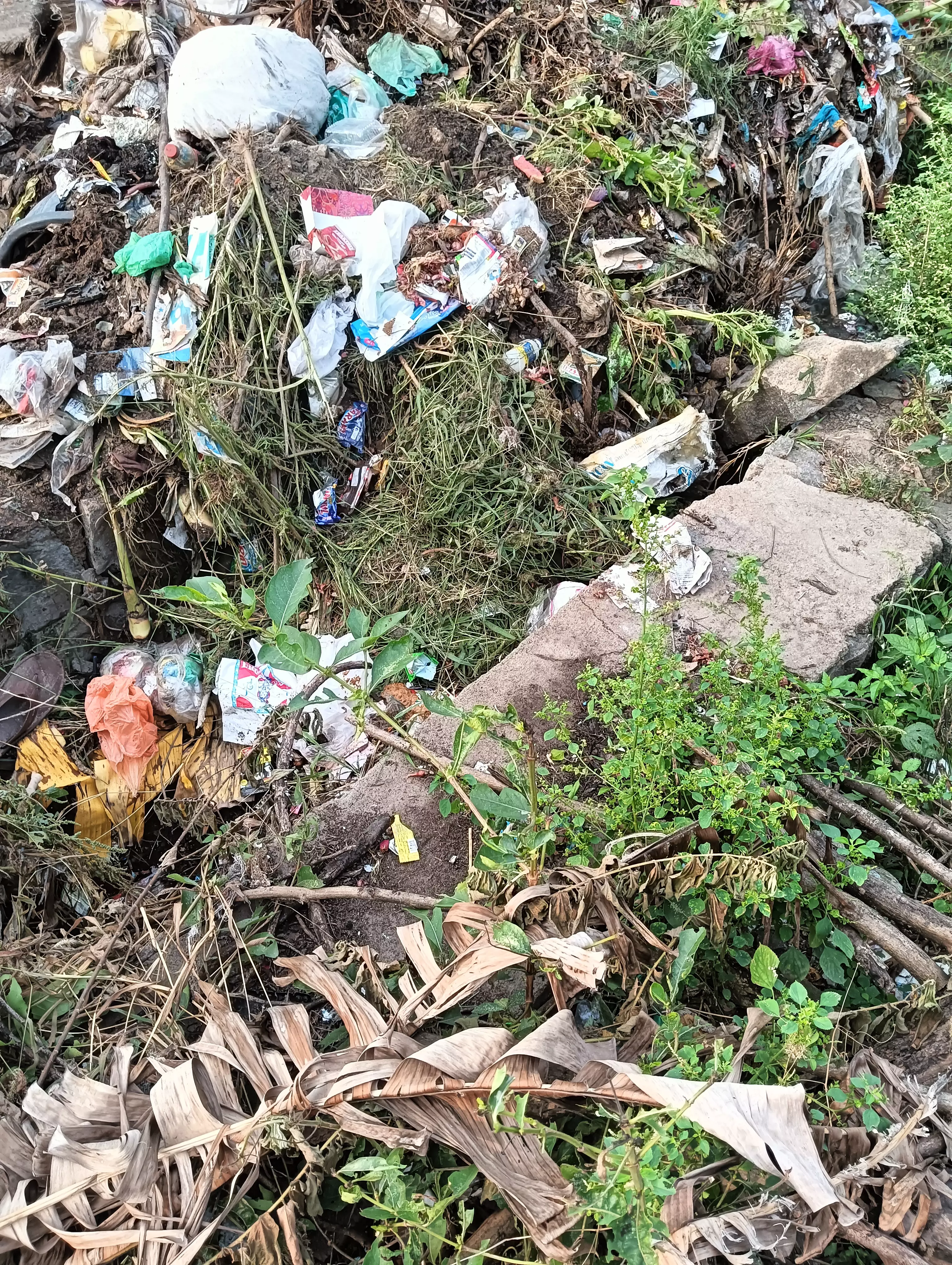 தூர்வாரப்படாத கழிவுநீர் வாய்க்கால் தூர்வாரப்படாத கழிவுநீர் வாய்க்கால்