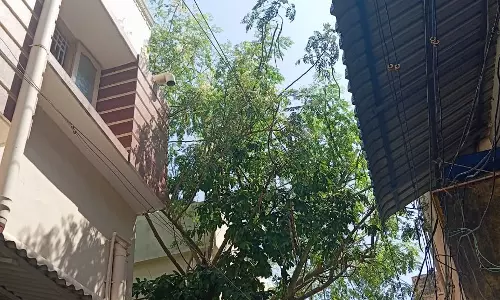 நடவடிக்கை தேவை