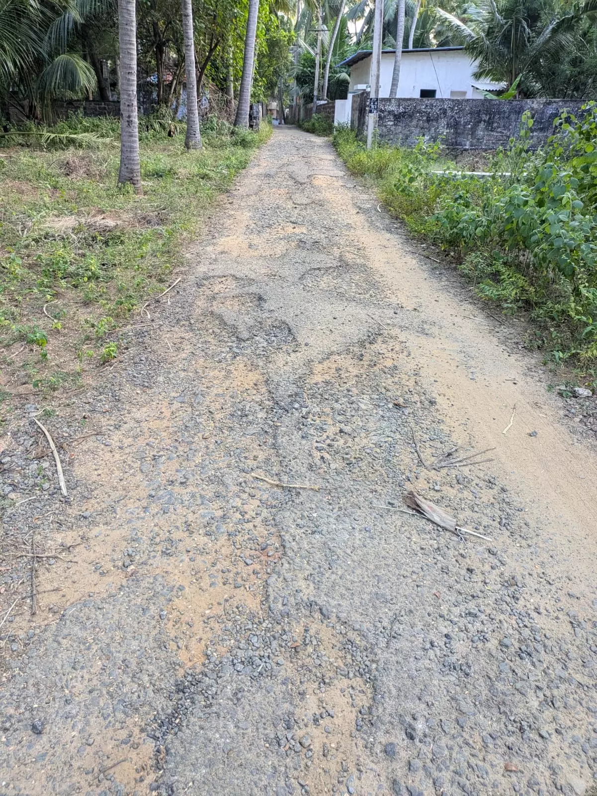 சாலை சீ ரமைக்கப்படுமா?