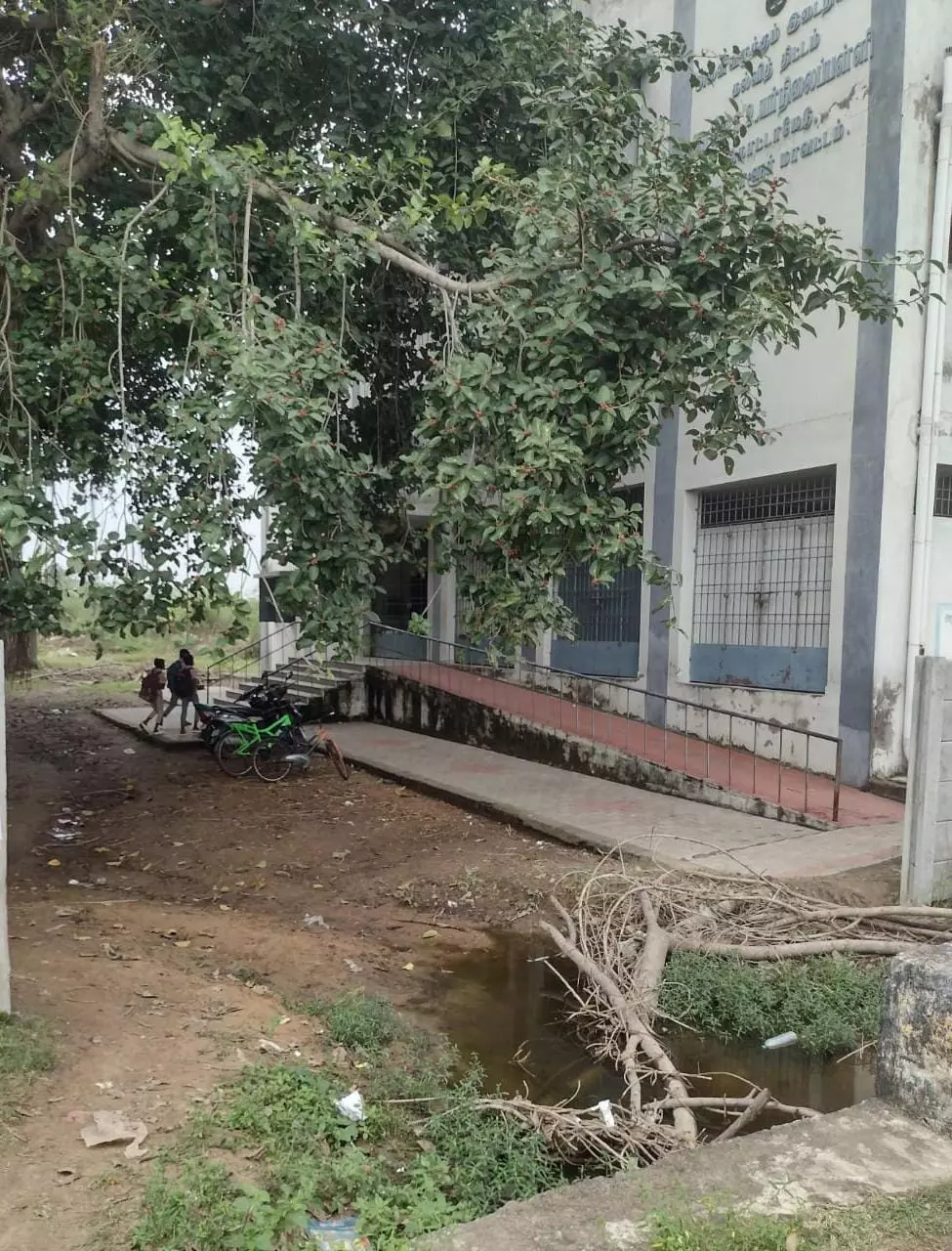 மாணவர்கள் அச்சம்