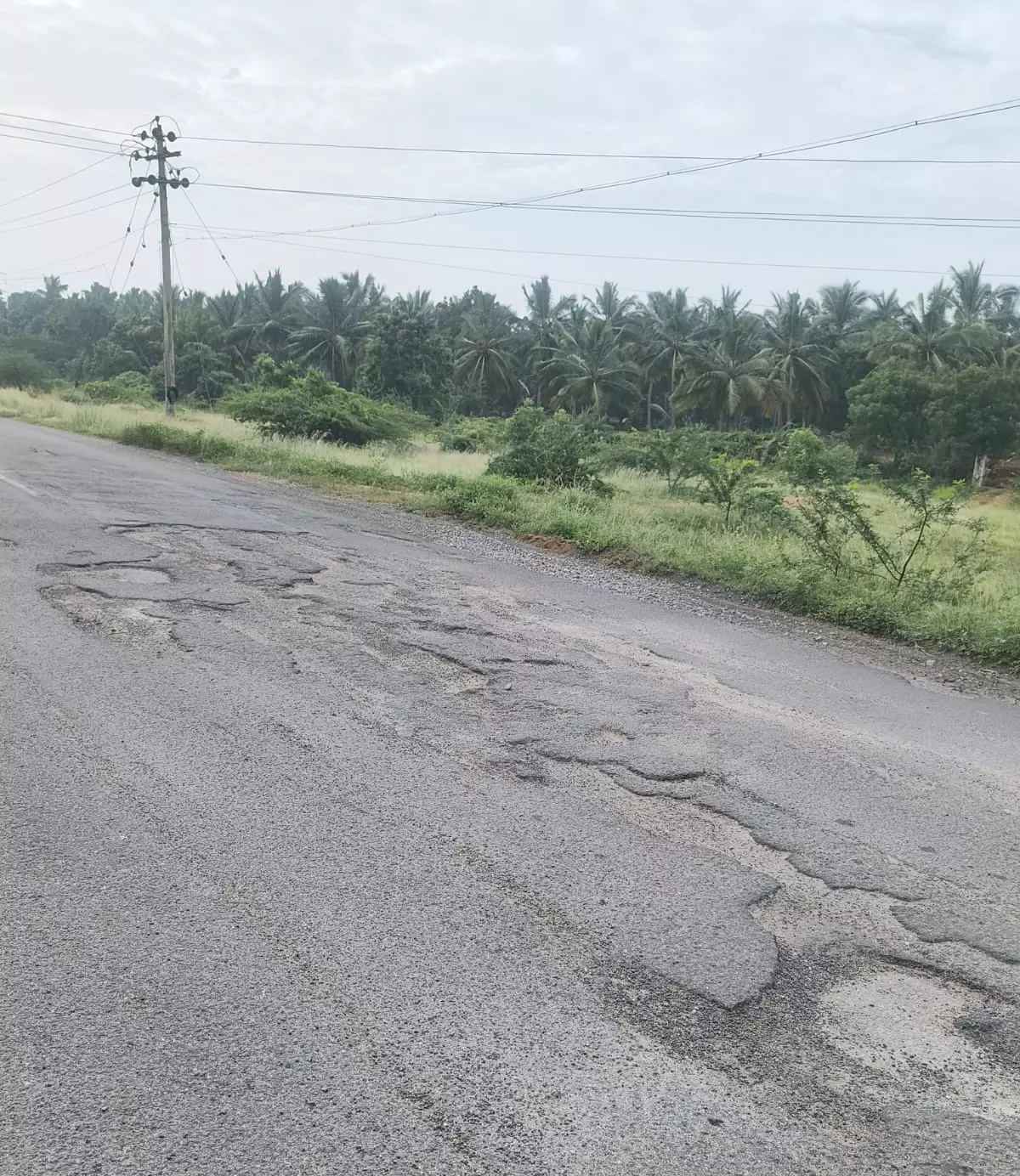 குண்டும் குழியுமான சாலை குண்டும் குழியுமான சாலை