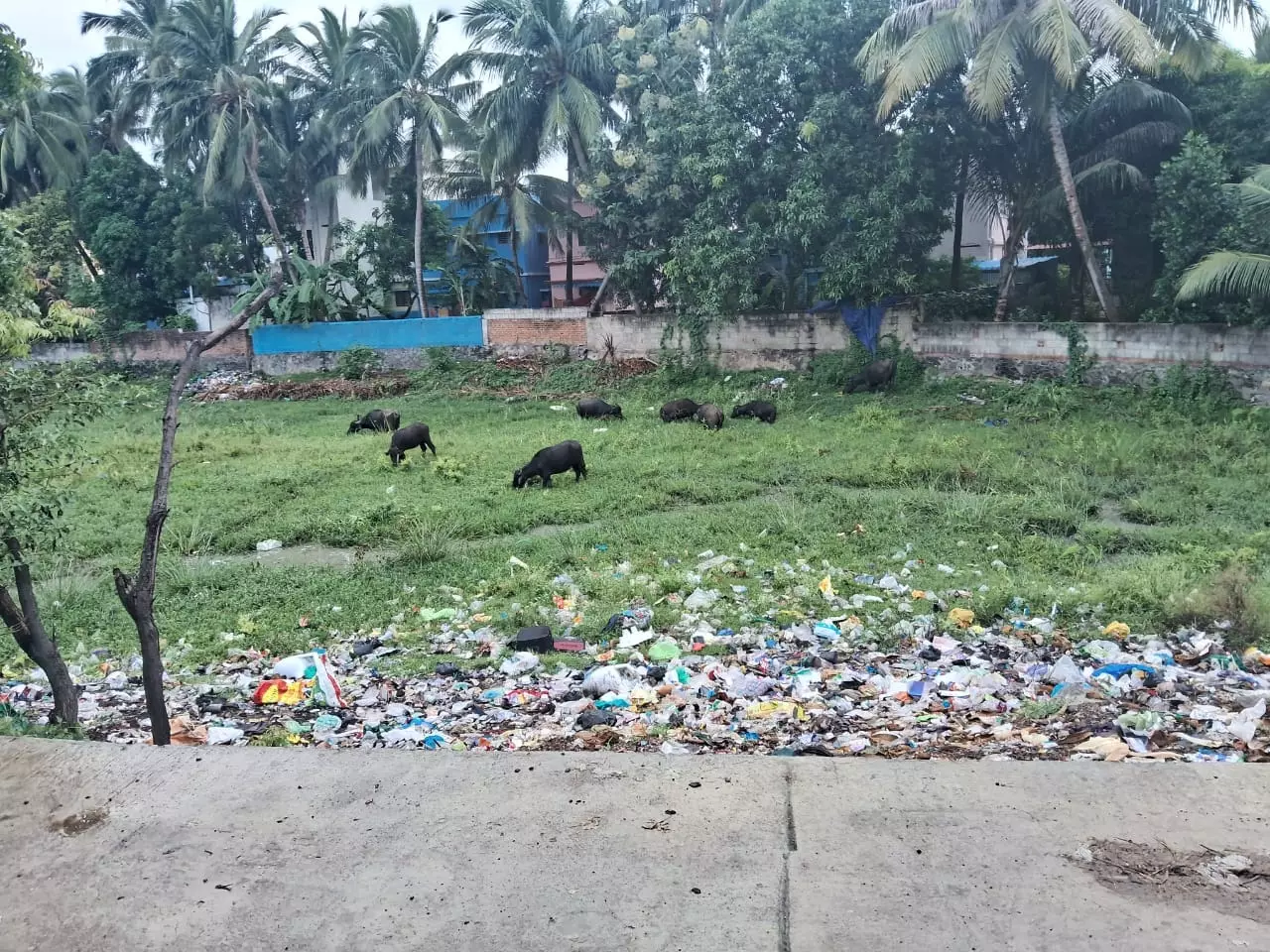 சுகாதார சீர்கேடு சுகாதார சீர்கேடு