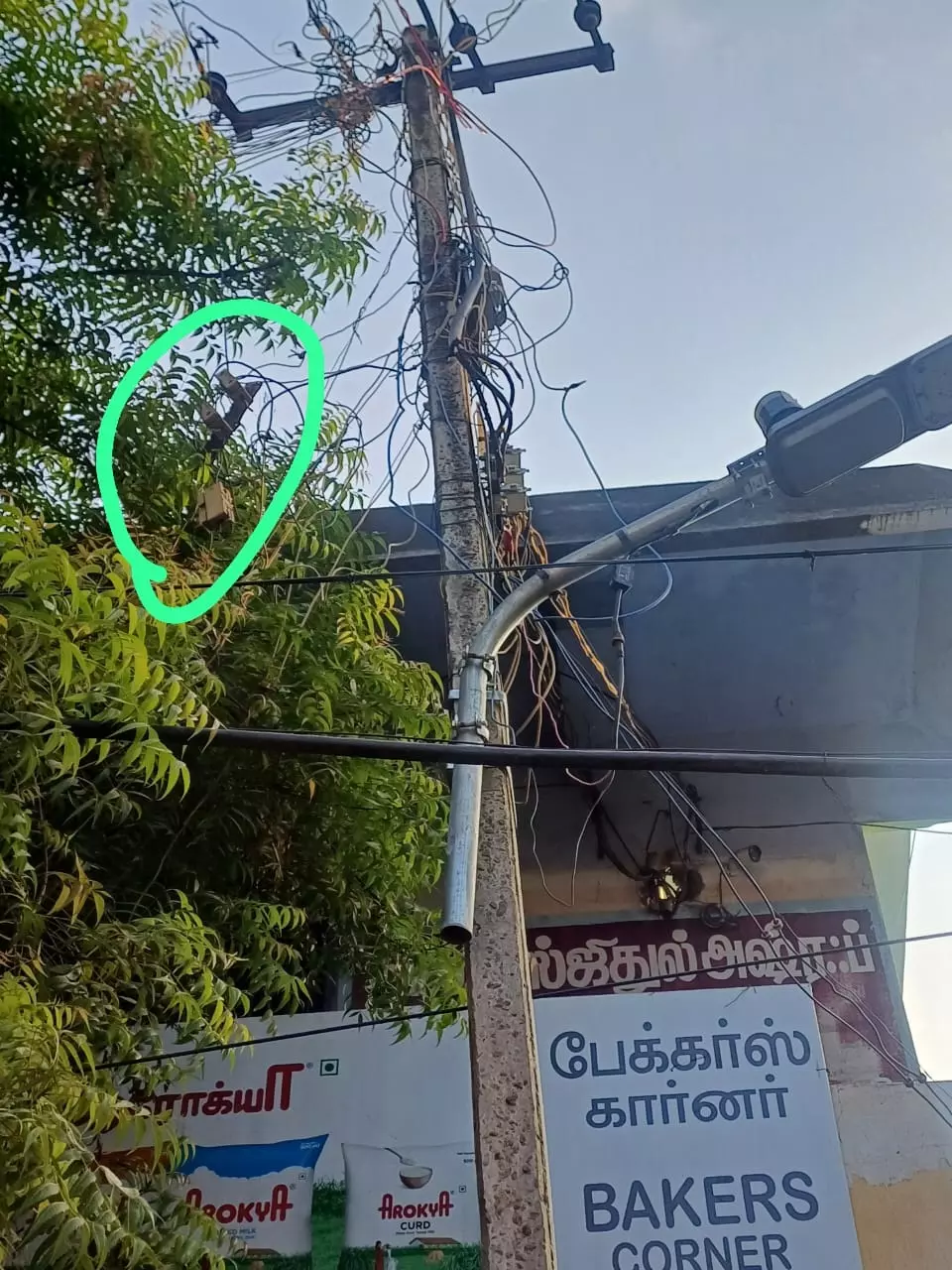 நடவடிக்கை தேவை