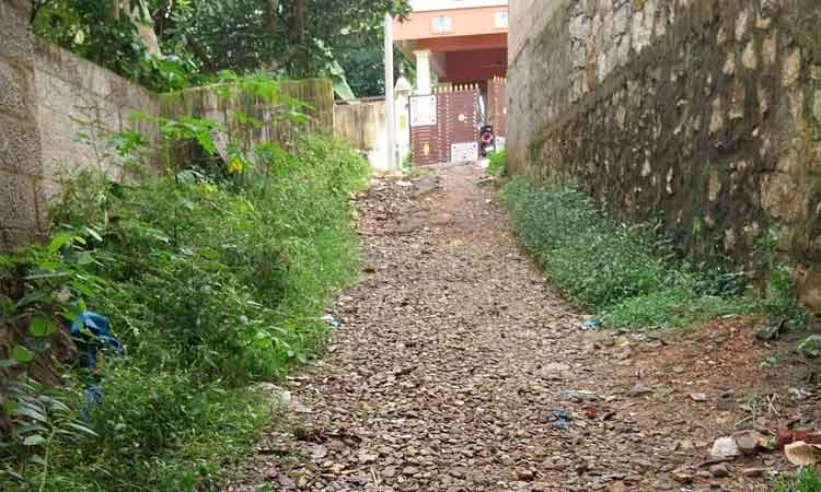 கான்கிரீட் சாலை அமைக்கப்படுமா? கான்கிரீட் சாலை அமைக்கப்படுமா?