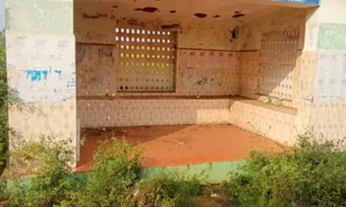 புதர்மண்டிய நிழற்குடை புதர்மண்டிய நிழற்குடை