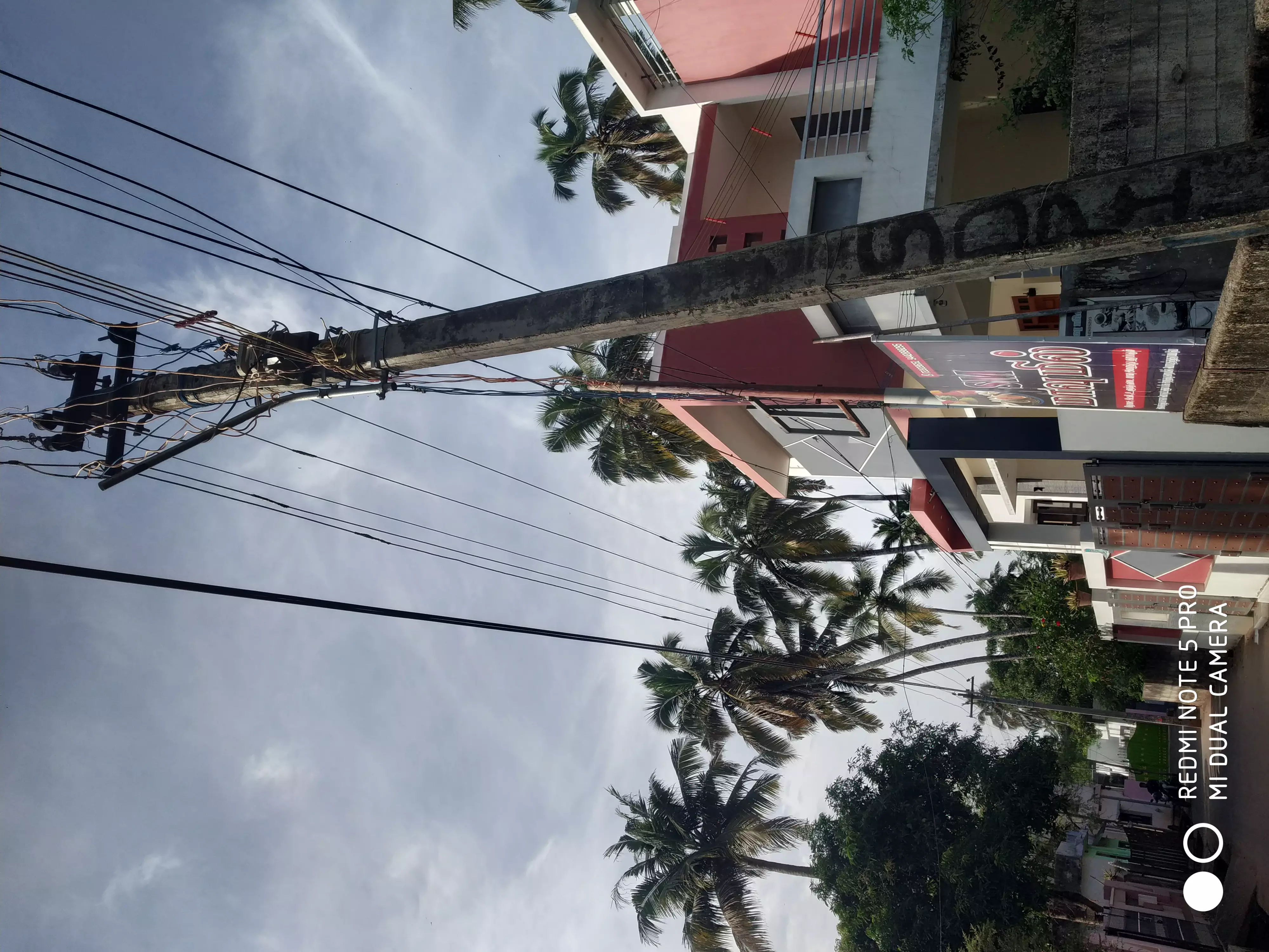 தெருவிளக்கு அமைக்கப்படுமா? தெருவிளக்கு அமைக்கப்படுமா?