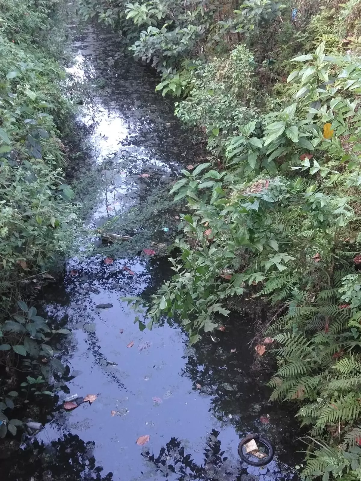 நடவடிக்கை தேவை நடவடிக்கை தேவை