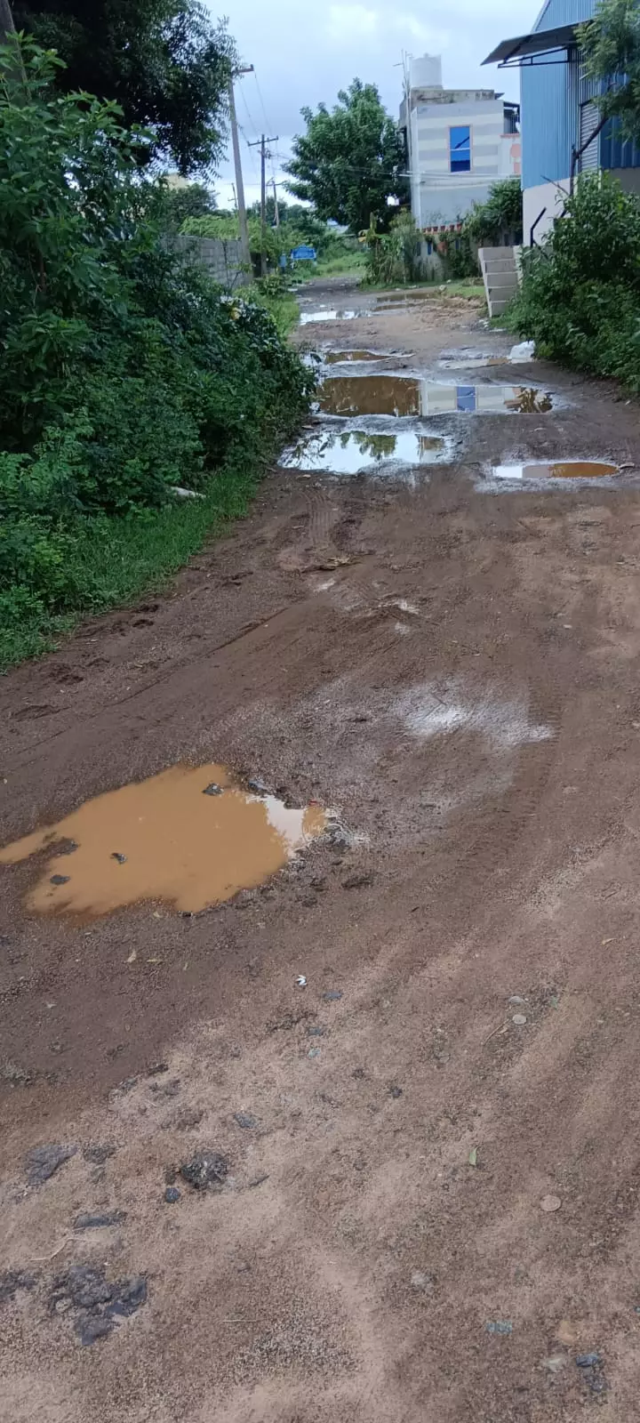 தார் சாலை வேண்டும் தார் சாலை வேண்டும்