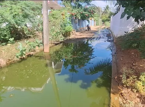 சுகாதாரக்கேடு சுகாதாரக்கேடு