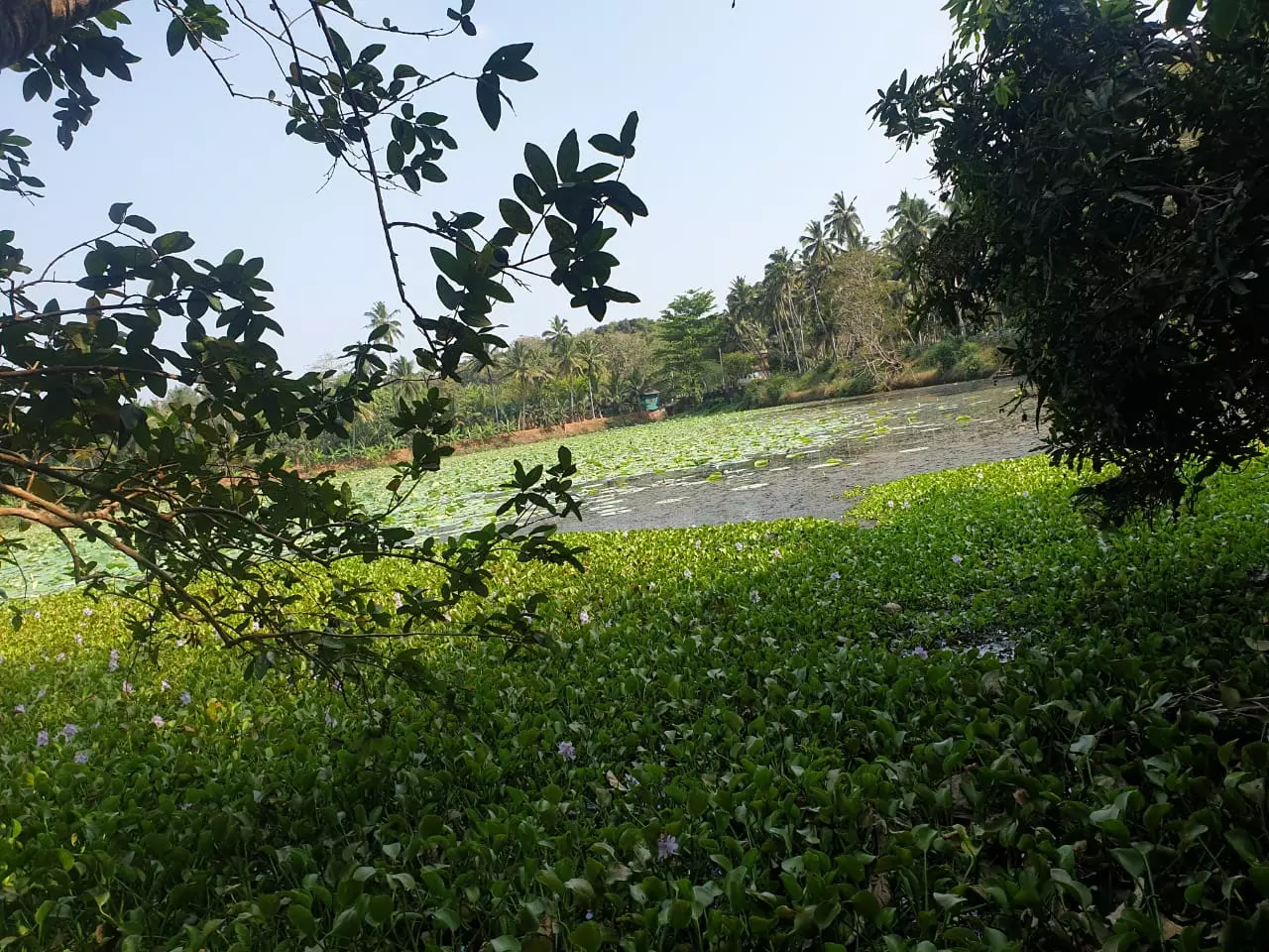 தூர்வார வேண்டும் தூர்வார வேண்டும்