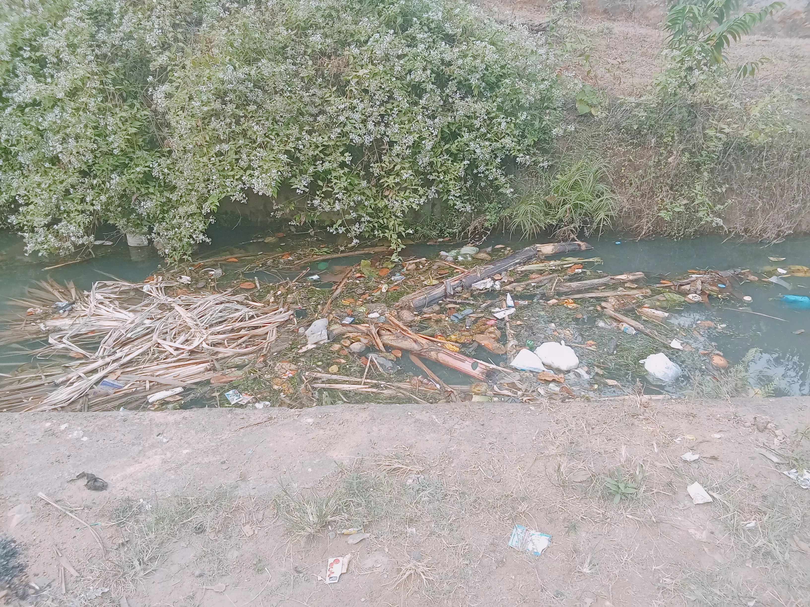 தூர்வார வேண்டும்