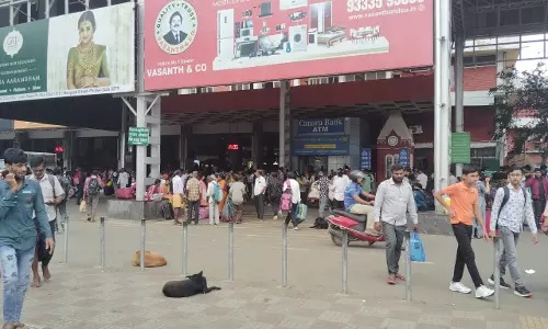 தெருநாய்கள் தொல்லை தெருநாய்கள் தொல்லை