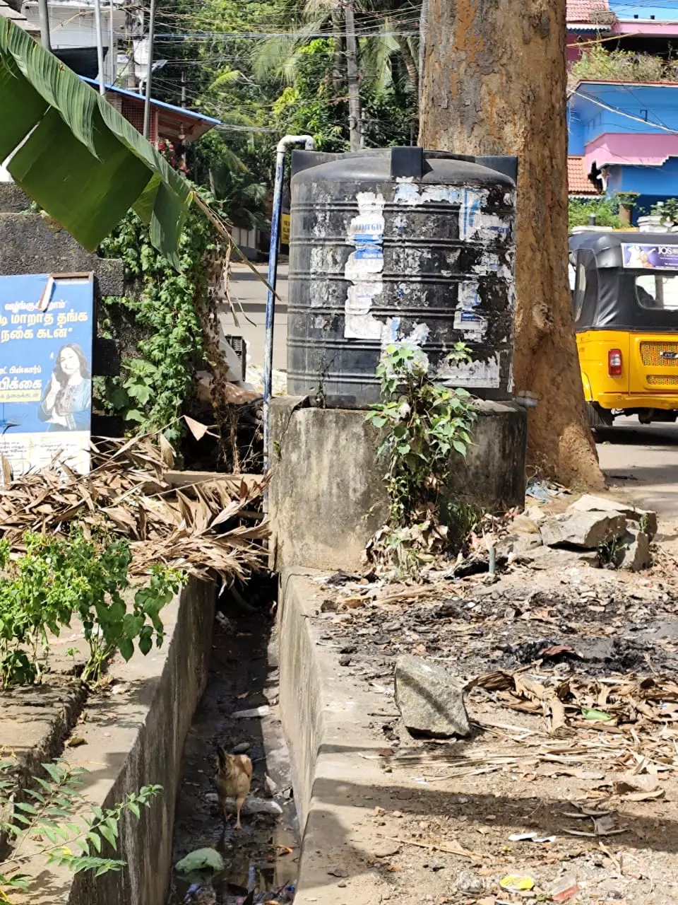 பொதுமக்கள் அவதி பொதுமக்கள் அவதி
