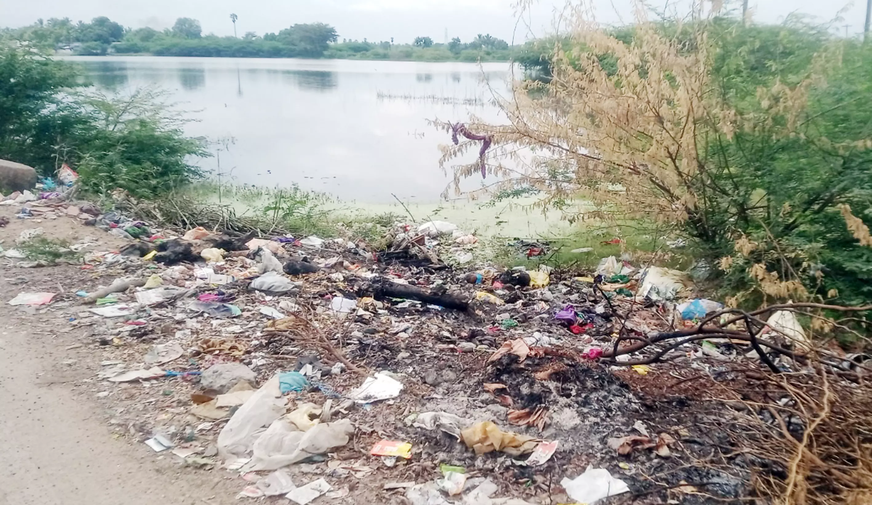 சுகாதாரக்கேடு சுகாதாரக்கேடு