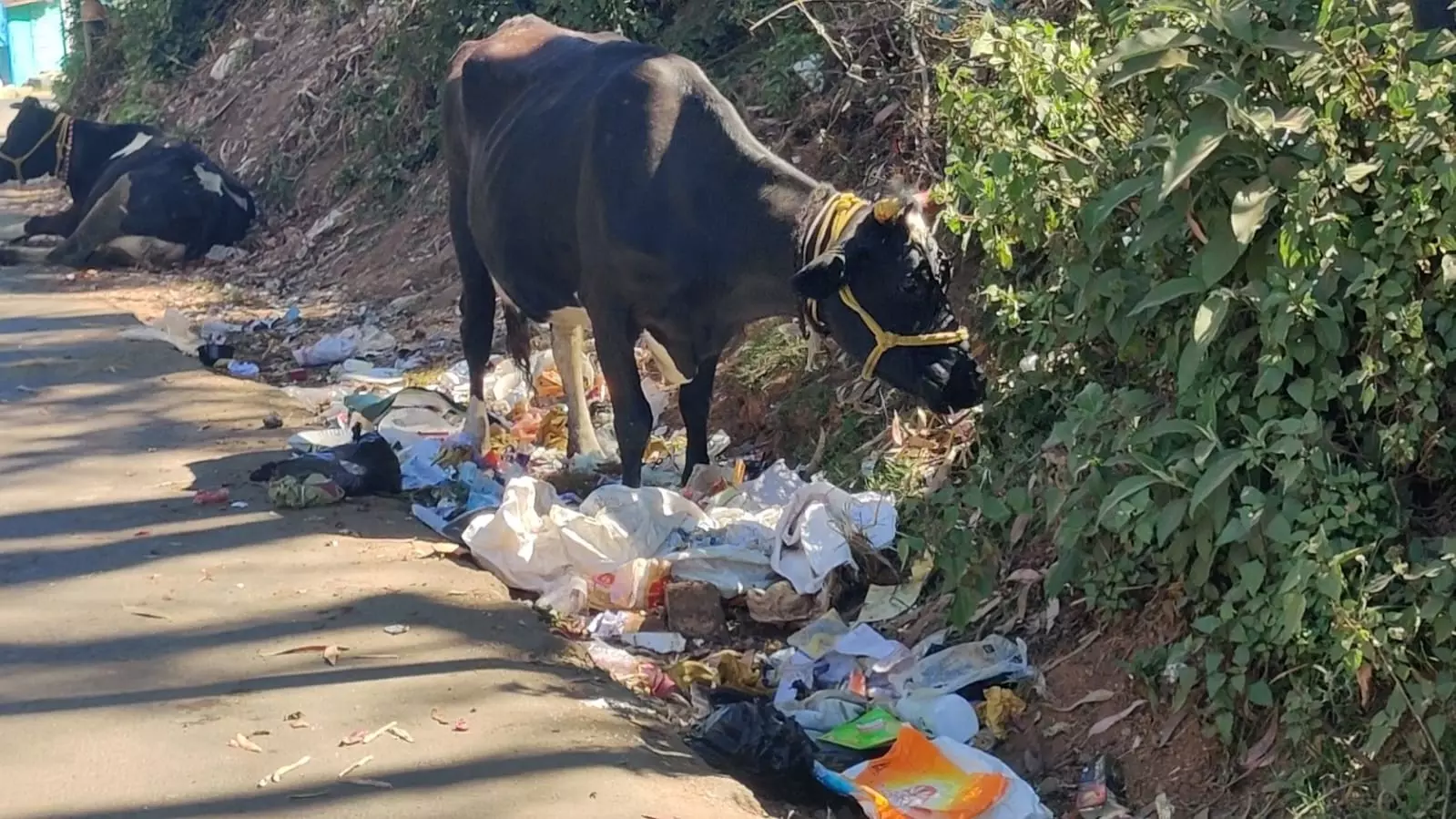 சுகாதார சீர்கேடு சுகாதார சீர்கேடு