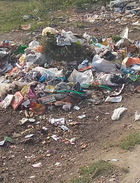 குப்பைகளை அகற்றுவார்களா?