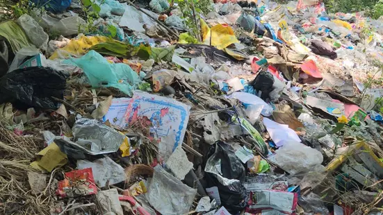 நீர்நிலைகளில் கொட்டப்படும் குப்பைகள்