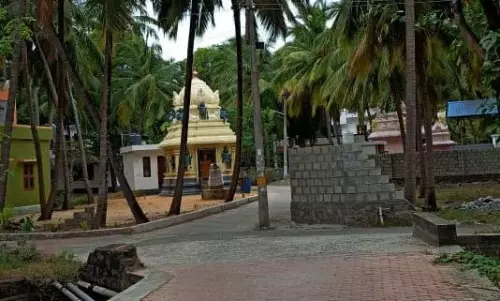 மாற்றியமைக்க வேண்டும் மாற்றியமைக்க வேண்டும்