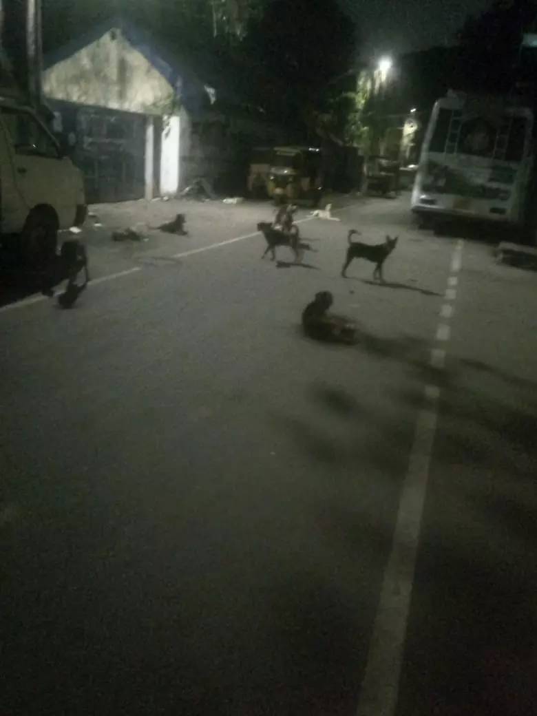 பொதுமக்கள் அச்சம் பொதுமக்கள் அச்சம்