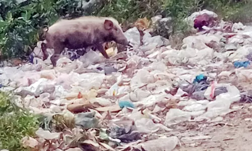 சுகாதாரக்கேடு சுகாதாரக்கேடு