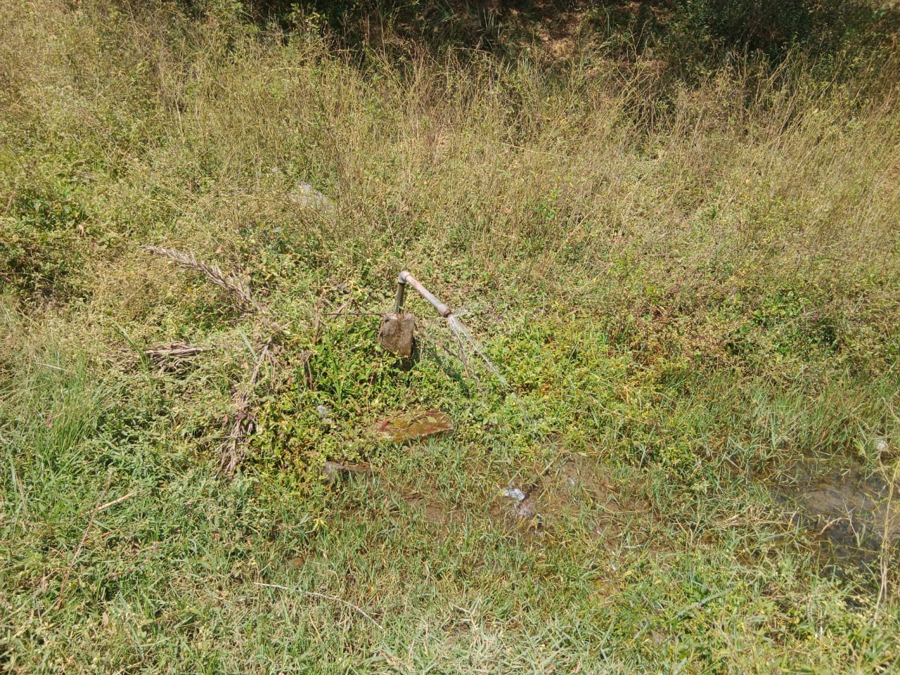 வீணாகும் குடிநீர் வீணாகும் குடிநீர்