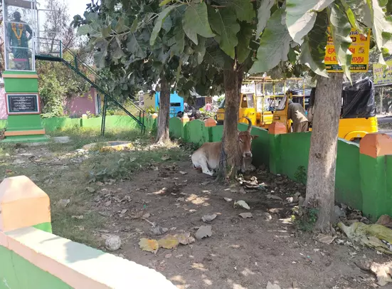 நகராட்சி நிர்வாகம் கவனிக்குமா? நகராட்சி நிர்வாகம் கவனிக்குமா?