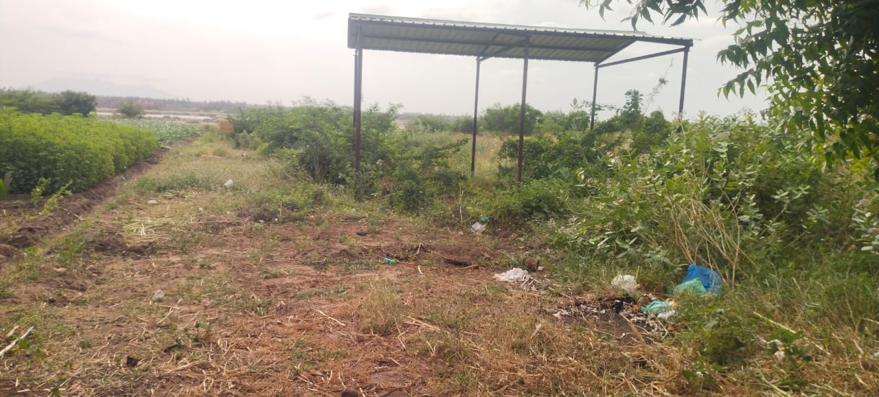 தார் சாலை அமைக்க வேண்டும்