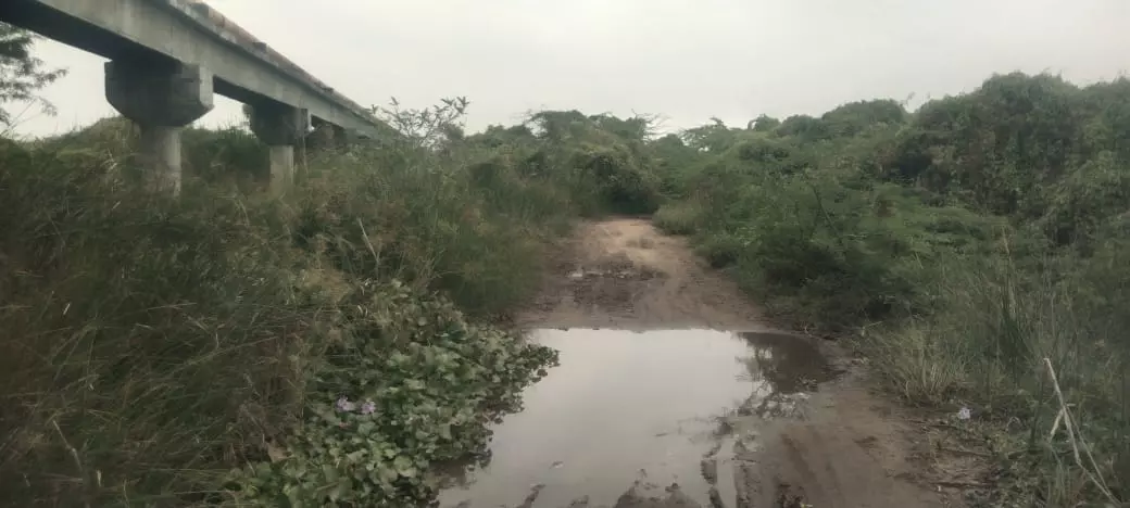 வெண்ணாறு தூர்வாரப்படுமா?