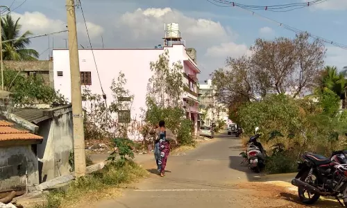 புதர் மண்டிக்கிடக்கும் தெரு புதர் மண்டிக்கிடக்கும் தெரு