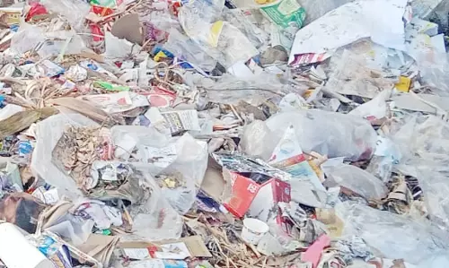 சுகாதாரக்கேடு சுகாதாரக்கேடு