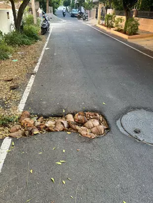 குழியை மூட வேண்டும்