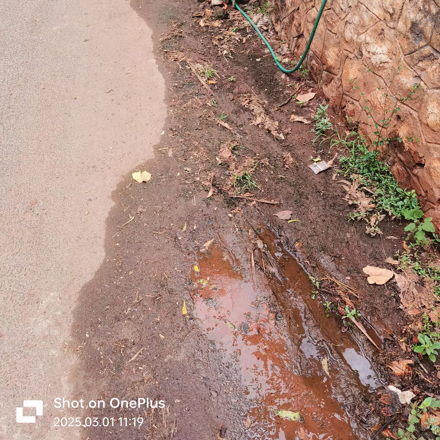 நடவடிக்கை தேவை நடவடிக்கை தேவை