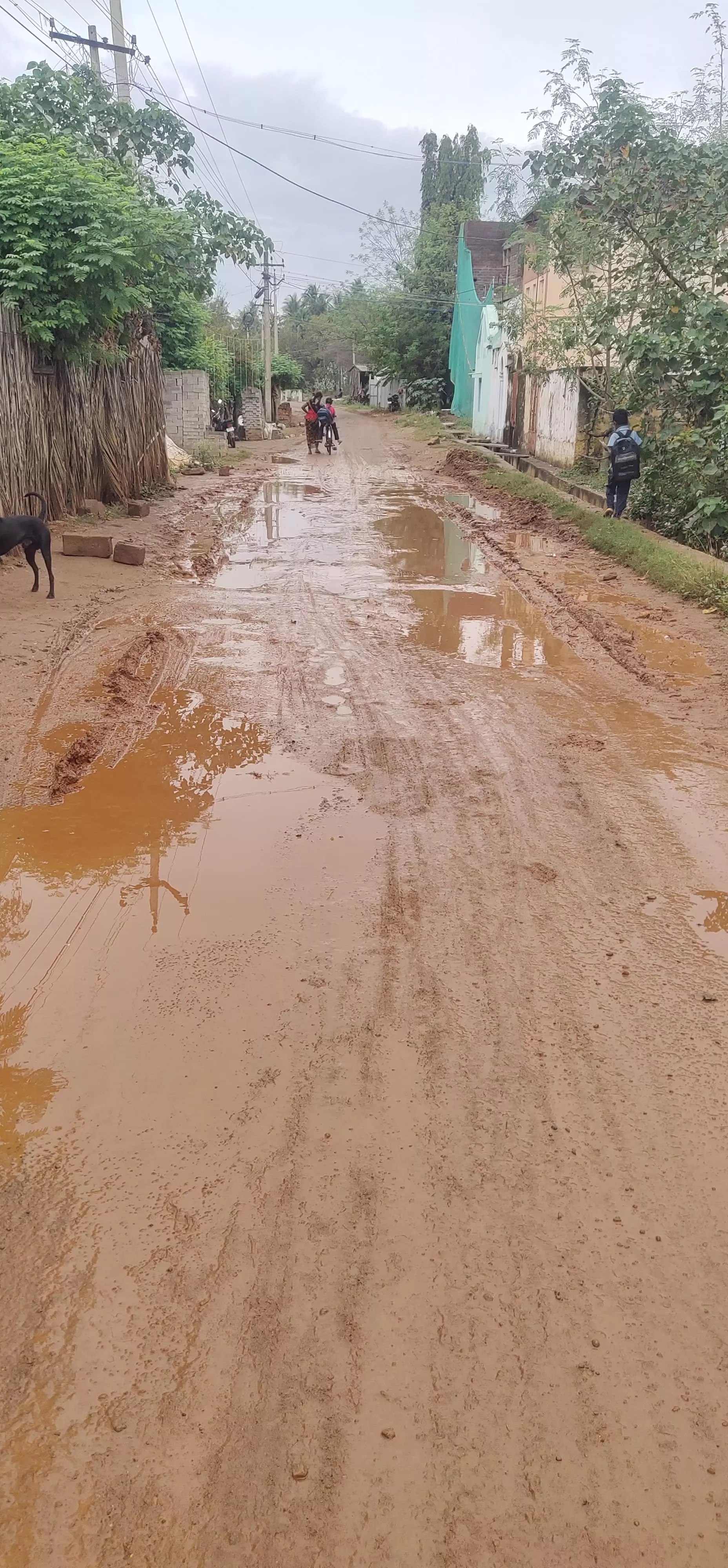 சேறும், சகதியுமான சாலை சேறும், சகதியுமான சாலை