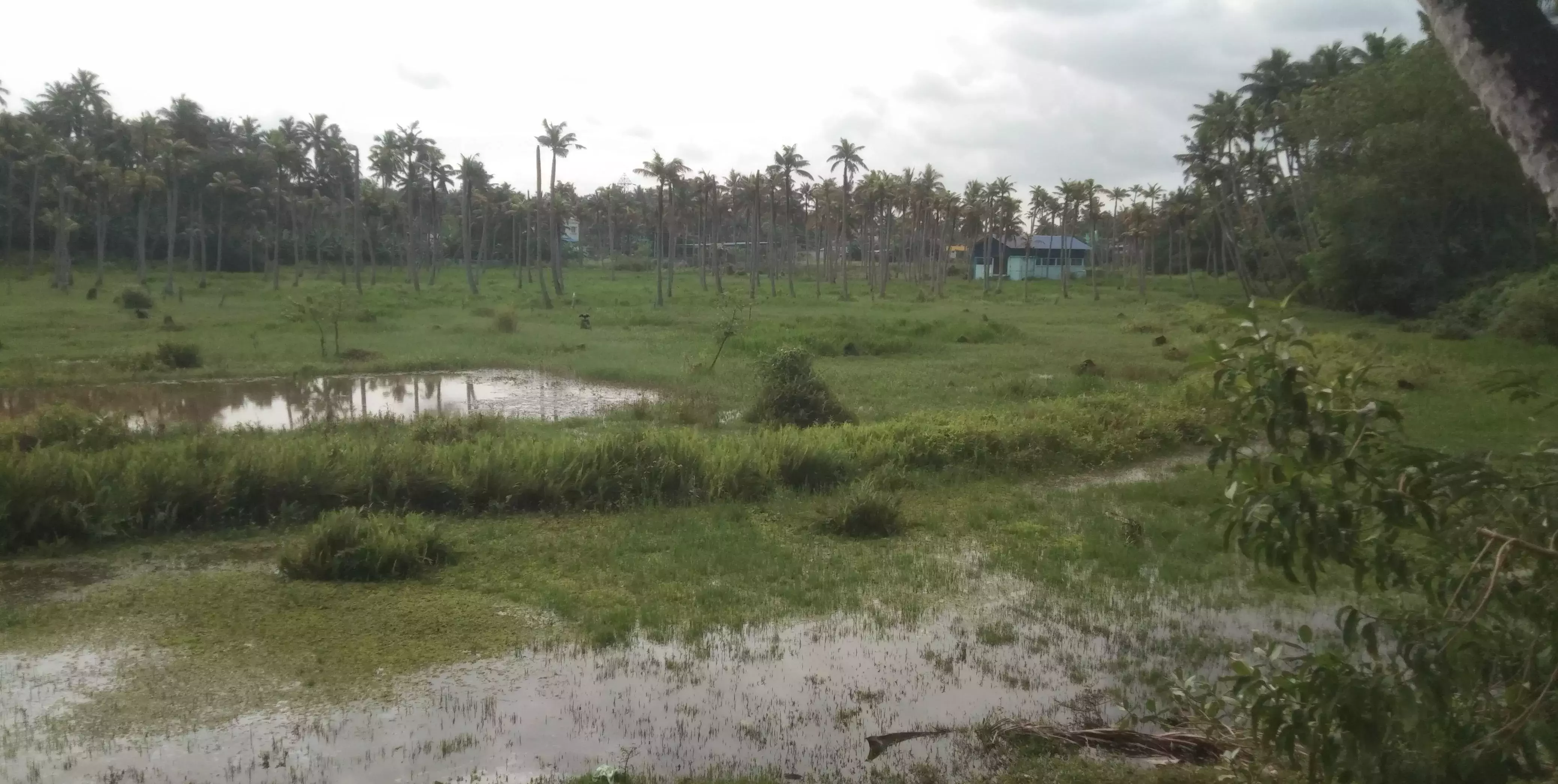 கால்வாய் தூர்வார வேண்டும்