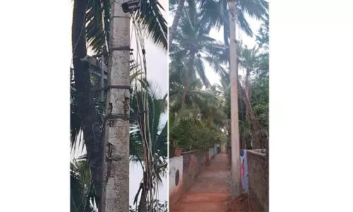 மின்கம்பம் மாற்றப்பட்டது மின்கம்பம் மாற்றப்பட்டது