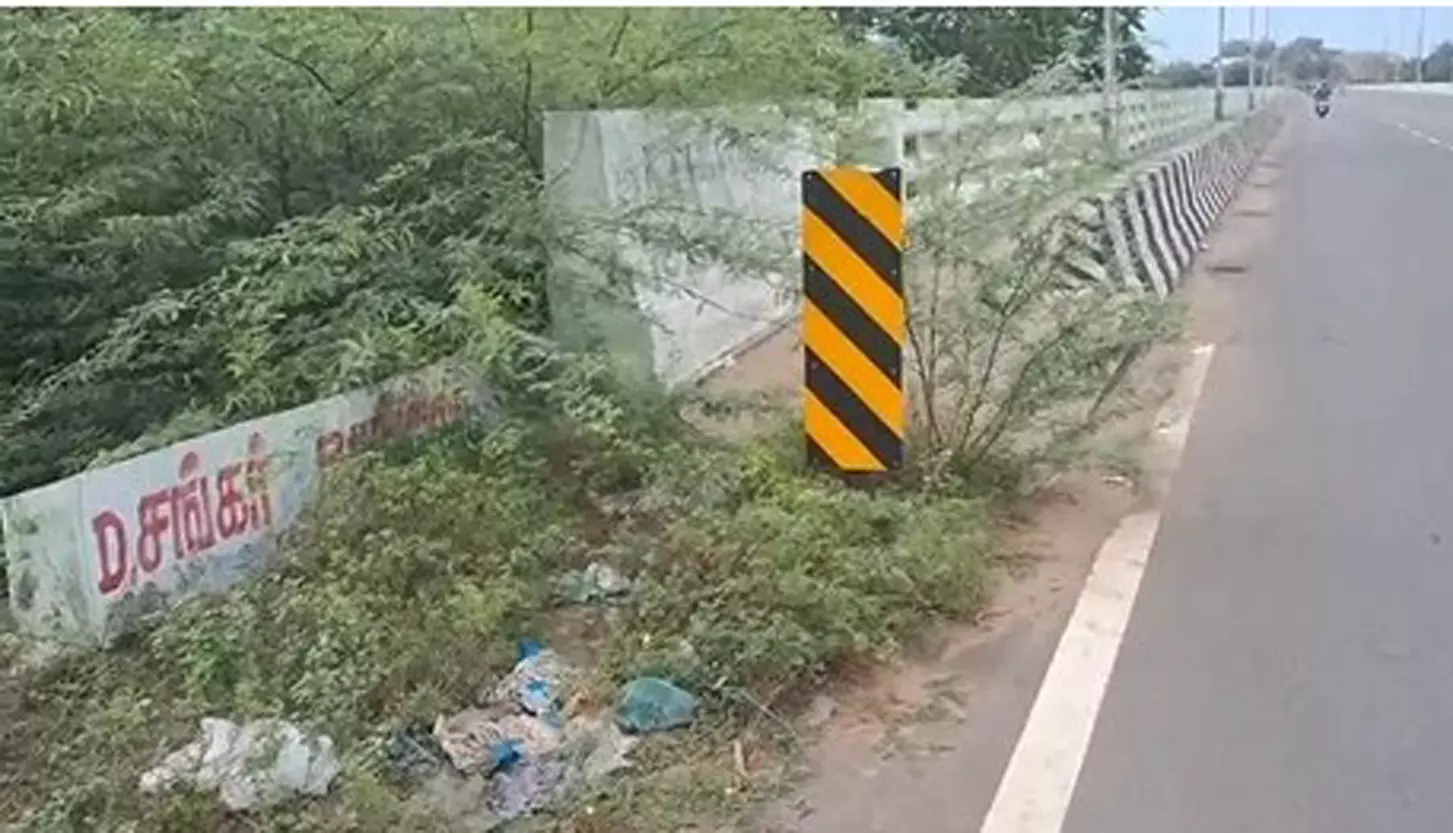 முட்செடிகள் அகற்றப்பட வேண்டும்